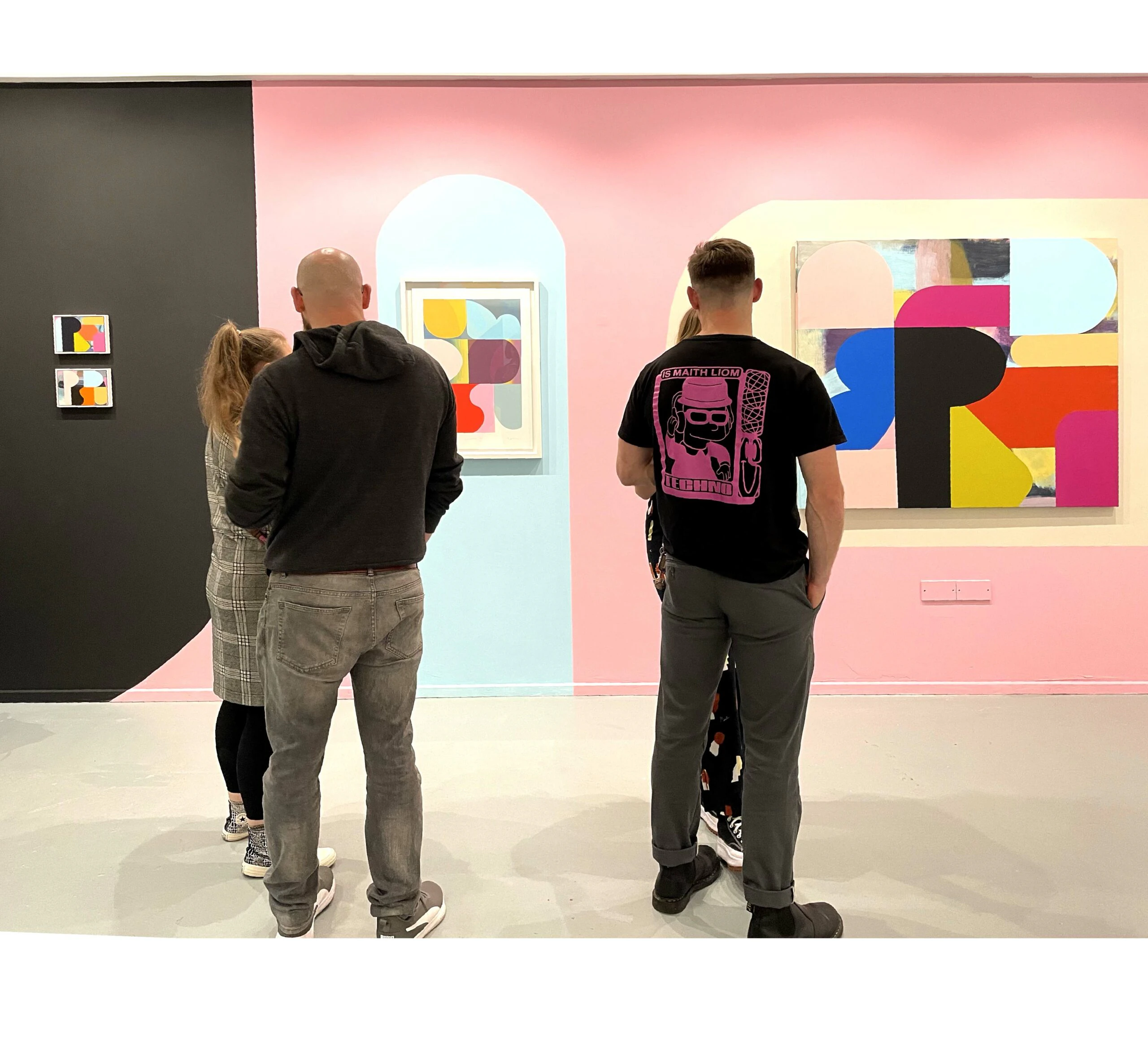 aa1.top row Mary OConnor Artist, painting, silkscreen printing, wall mural,Concrete x Canvas Galway