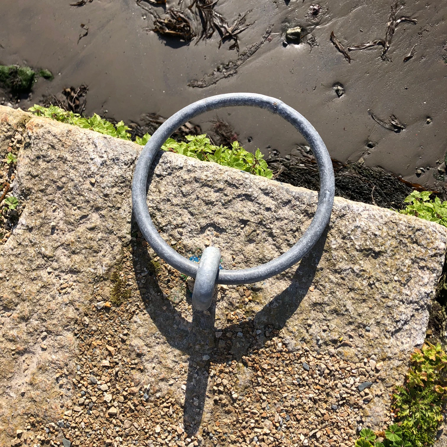 Mary O'Connor, photograph, Visual Artist, Dublin, Ireland