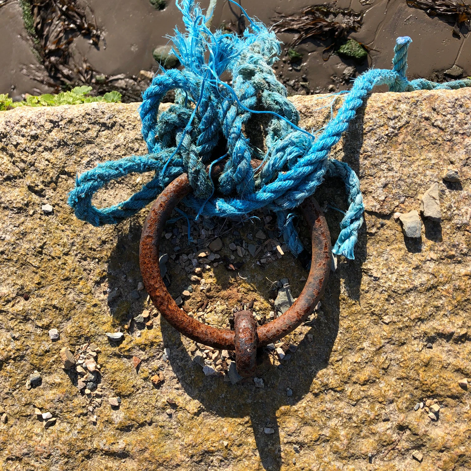 Mary O'Connor, photograph, Visual Artist, Dublin, Ireland