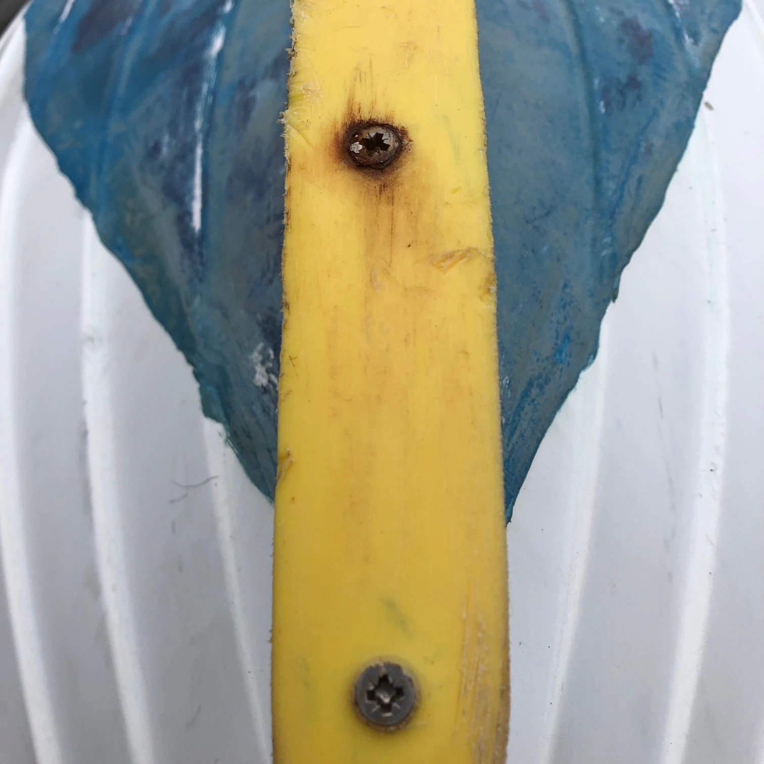 Mary O'Connor, photograph, Visual Artist, Dublin, Ireland