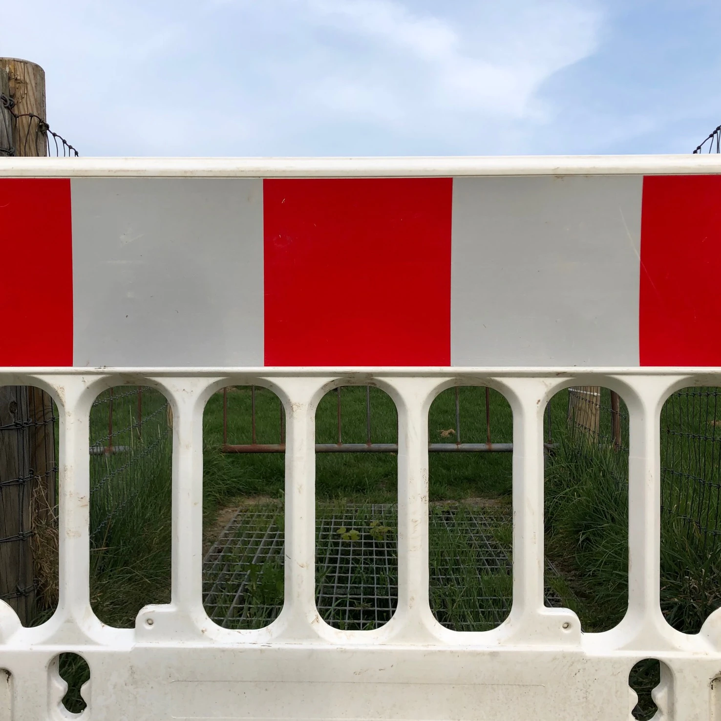 Mary O'Connor, photograph, Visual Artist, Dublin, Ireland
