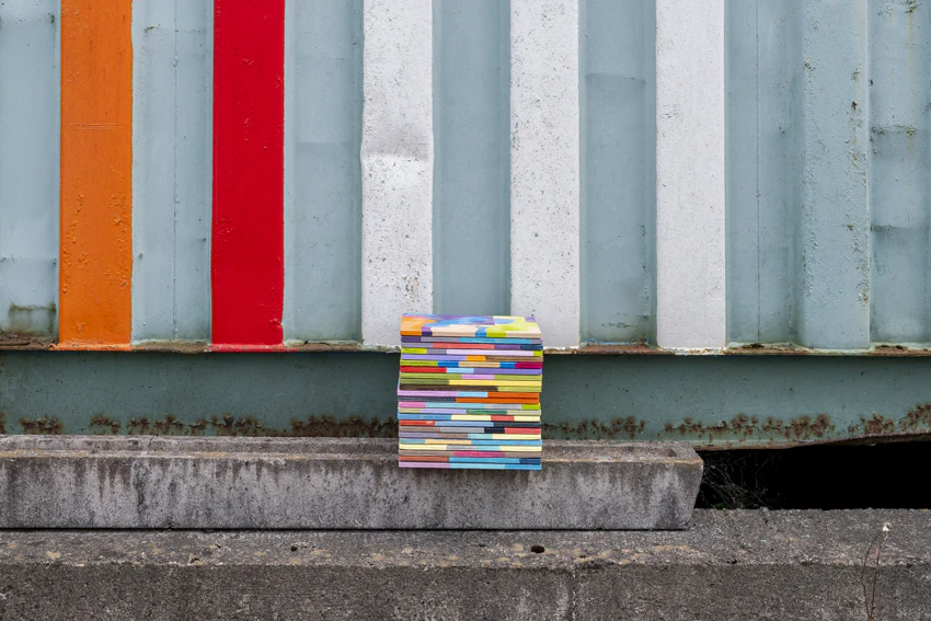 72 DPI Mary O'Connor, Visual artist, Silkscreen printing, painting, sculpture, printmaker, Dublin, Ireland
