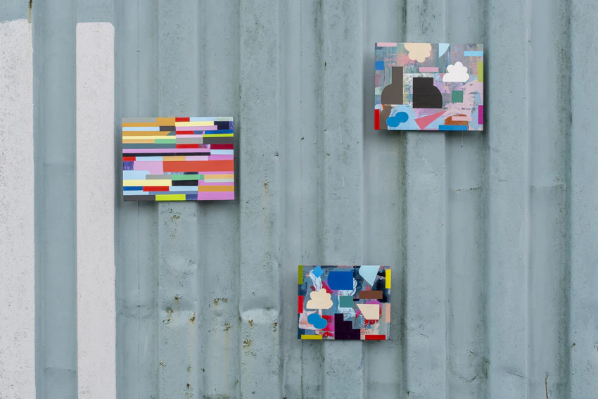 72 DPI Mary O'Connor, Visual artist, Silkscreen printing, painting, sculpture, printmaker, Dublin, Ireland