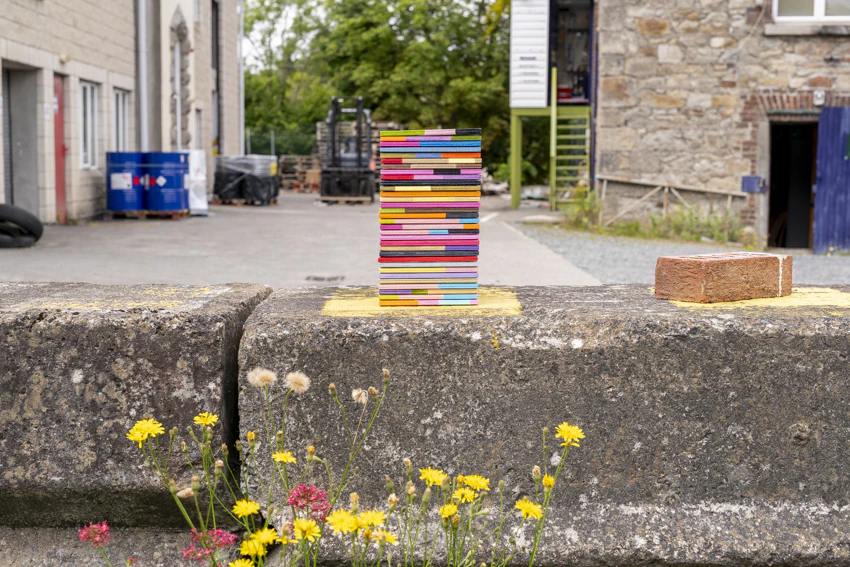 72 DPI Mary O'Connor, Visual artist, Silkscreen printing, painting, sculpture, printmaker, Dublin, Ireland