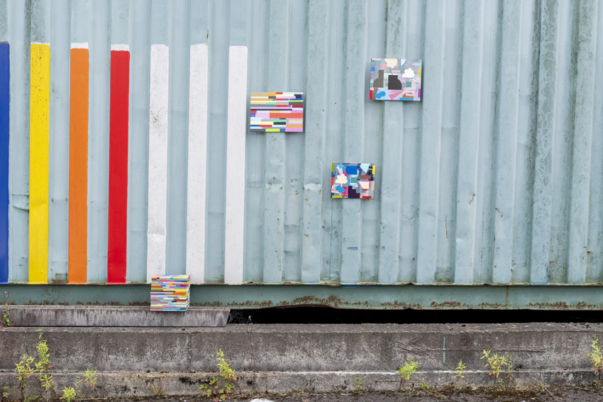 72 DPI Mary O'Connor, Visual artist, Silkscreen printing, painting, sculpture, printmaker, Dublin, Ireland