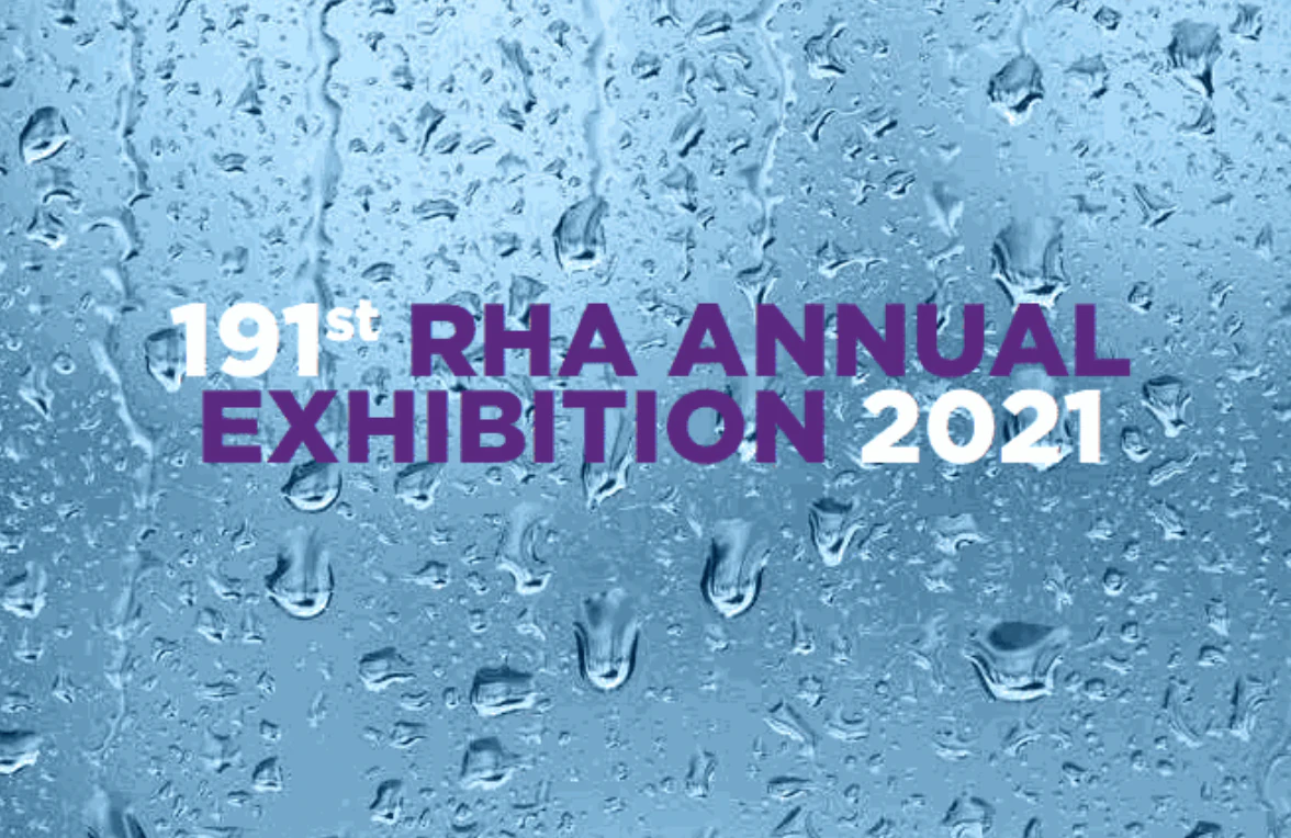 Mary O'Connor visual artist, RHA Annual Exhibition, Dublin