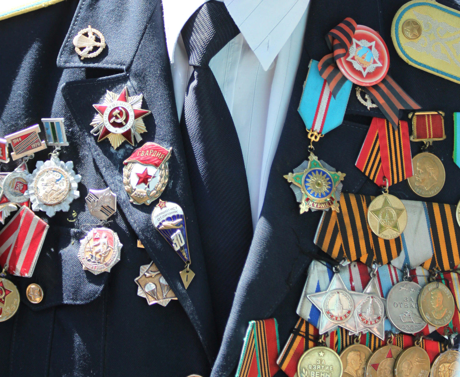 May 9 Vet medals, a Photograph by Mary O'Connor