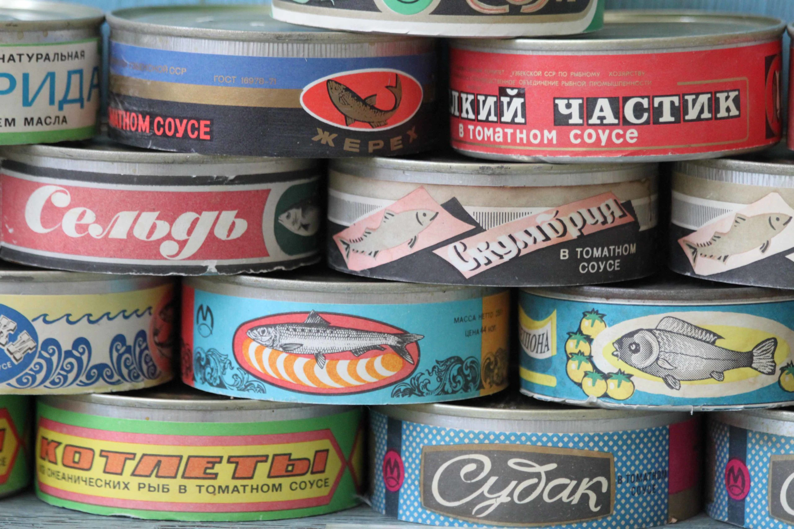 Tinned Cans, a Photograph by Mary O'Connor