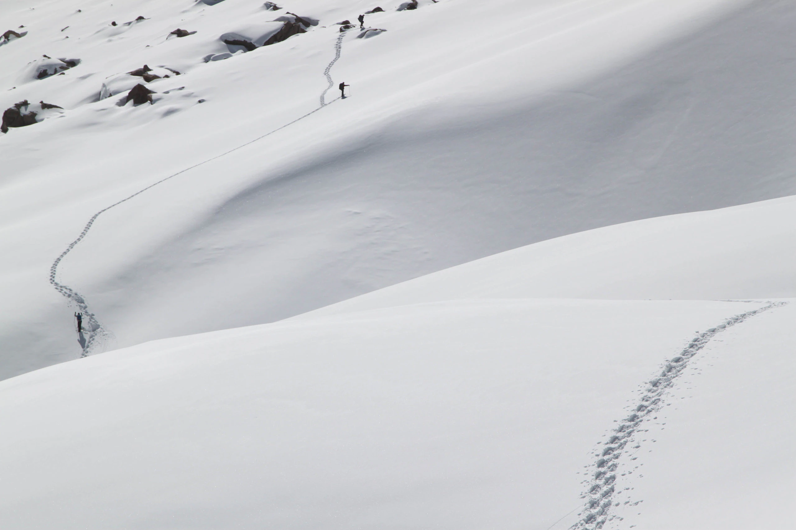 White out, White out, a Photograph by Mary O'Connor