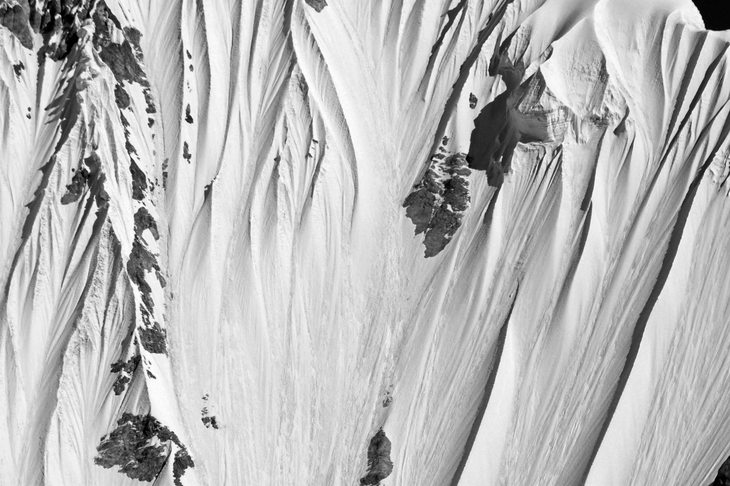 White Out, White out, White out, a Photograph by Mary O'Connor