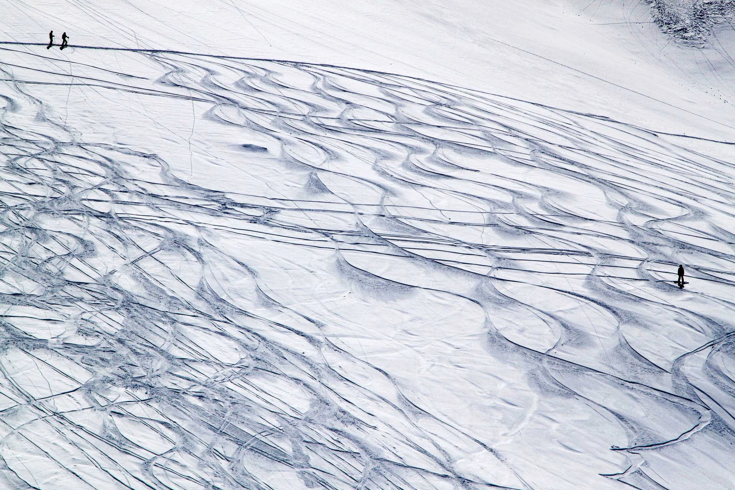 White Out, White out, White out, a Photograph by Mary O'Connor